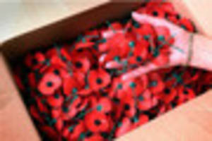 Anger as Burry Port OAP 'strikes' Llanelli poppy seller, 15